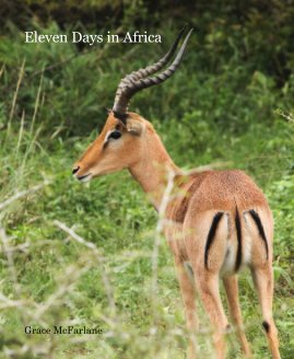 Eleven Days in Africa book cover