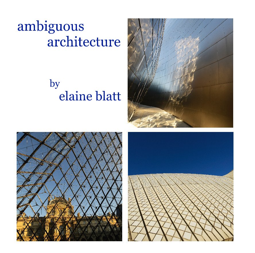 Bekijk ambiguous architecture op elaine blatt