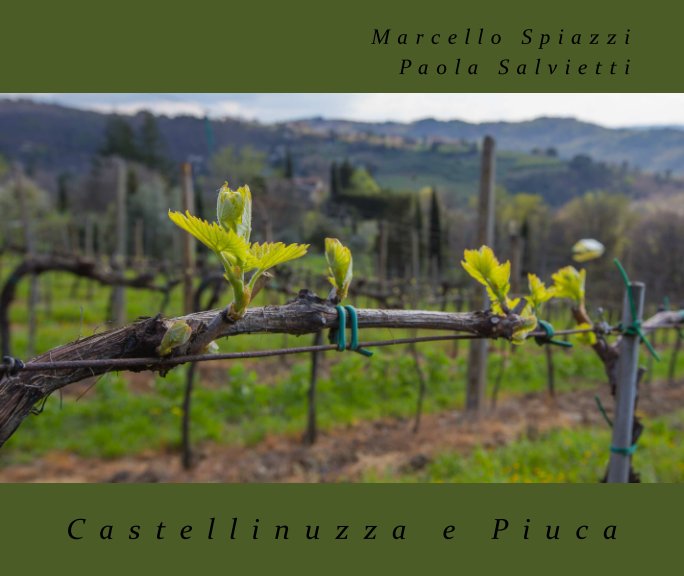 View Castellinuzza e Piuca by Marcello Spiazzi P. Salvietti