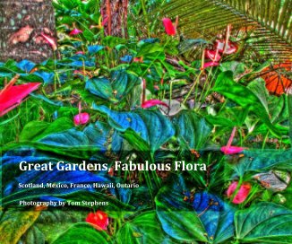 Great Gardens, Fabulous Flora book cover