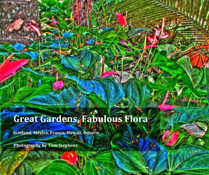 Great Gardens, Fabulous Flora nach Photography by Tom Stephens anzeigen