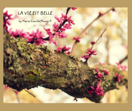 LA VIE EST BELLE book cover