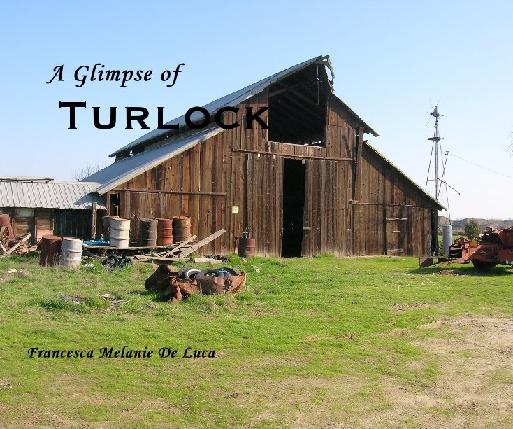 Ver A Glimpse of Turlock por Francesca Melanie De Luca