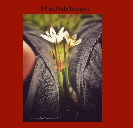 View I Can Only Imagine 3 by Emmalee Bertrand