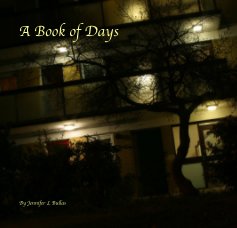 A Book of Days book cover