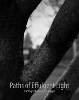 Paths of Effulgent Light book cover