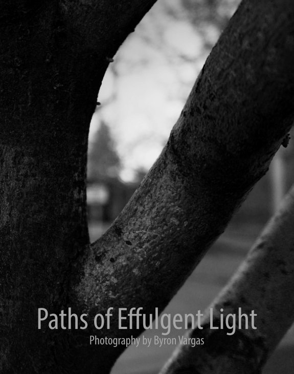 View Paths of Effulgent Light by Byron Vargas