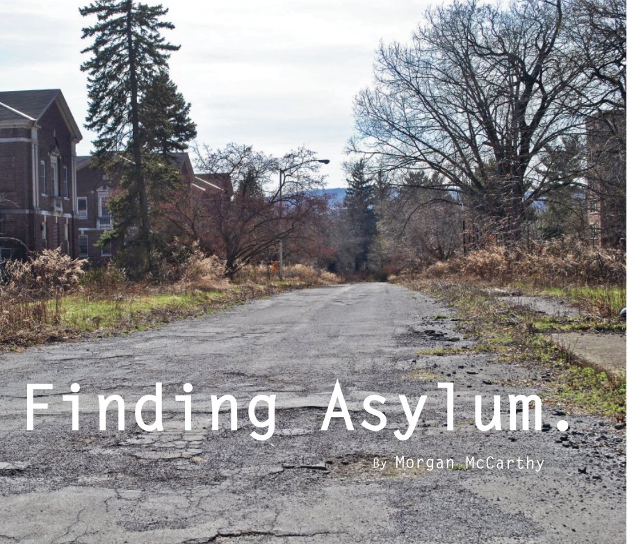 View Finding Asylum by Morgan McCarthy