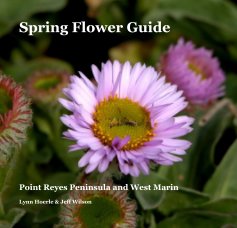 Spring Flower Guide book cover
