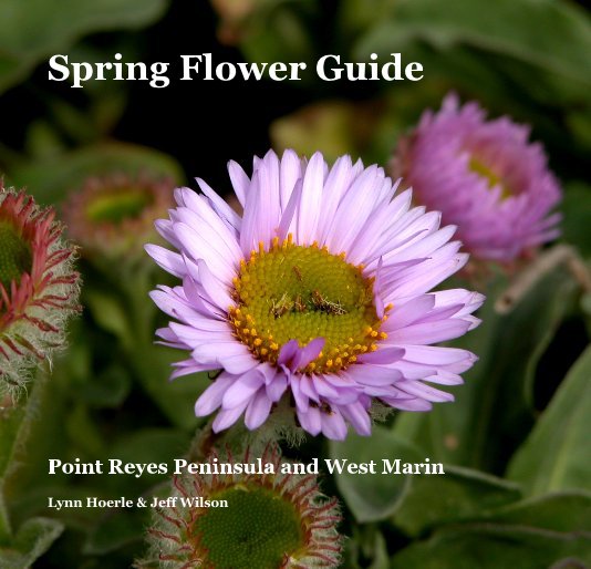 View Spring Flower Guide by Lynn Hoerle & Jeff Wilson