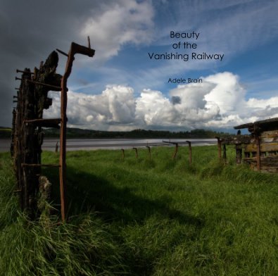 Beauty of the Vanishing Railway book cover