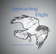 Approaching Flight book cover
