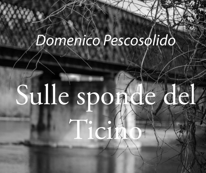 Ver Sulle sponde del Ticino por Domenico Pescosolido