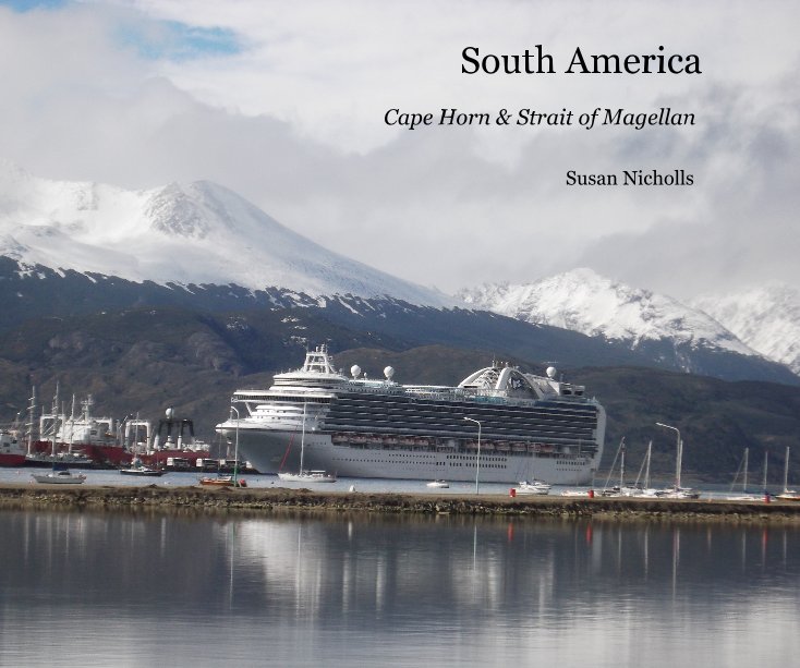 View South America by Susan Nicholls