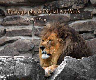 Photography & Digital Art Work book cover