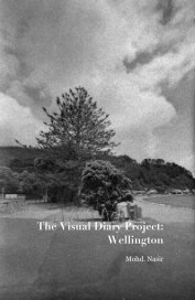The Visual Diary Project: Wellington book cover