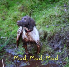 mud, mud, mud book cover