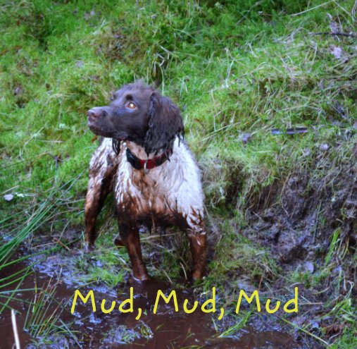 View mud, mud, mud by heather martin