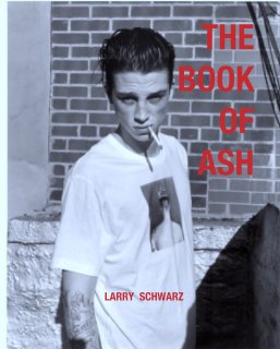 THE
BOOK
OF
ASH book cover
