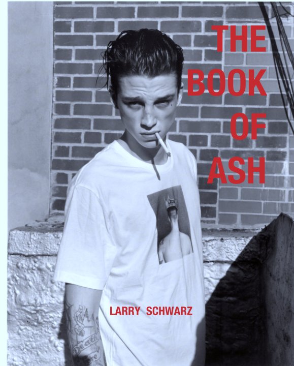 View THE
BOOK
OF
ASH by LARRY  SCHWARZ
