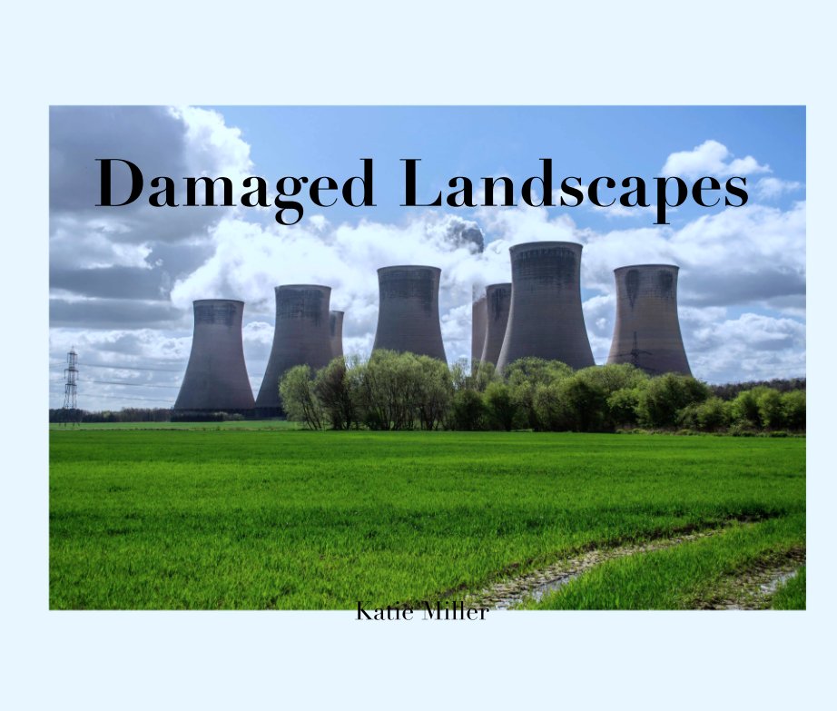 View Damaged Landscapes by Katie Miller