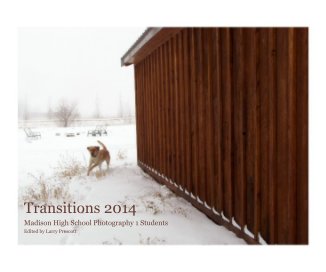 Transitions 2014 book cover