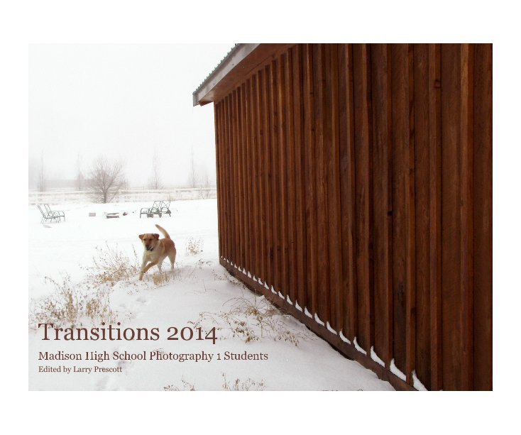 View Transitions 2014 by Edited by Larry Prescott