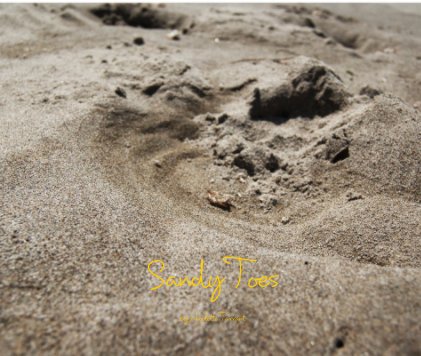 Sandy Toes book cover