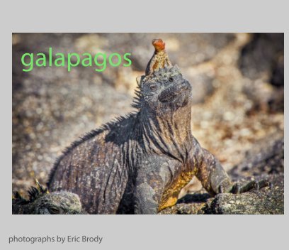 Galapagos book cover