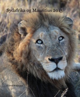 Sydafrika og Mauritius 2013 book cover
