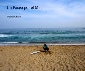 Un Paseo por el Mar book cover