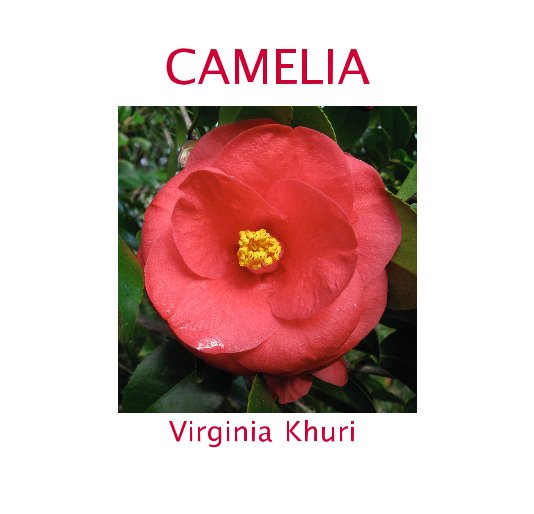 Ver CAMELIA Virginia Khuri por Virginia Khuri