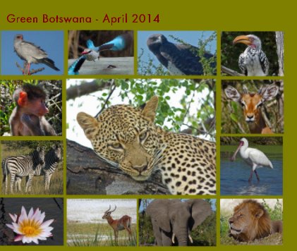 Green Botswana - April 2014 book cover