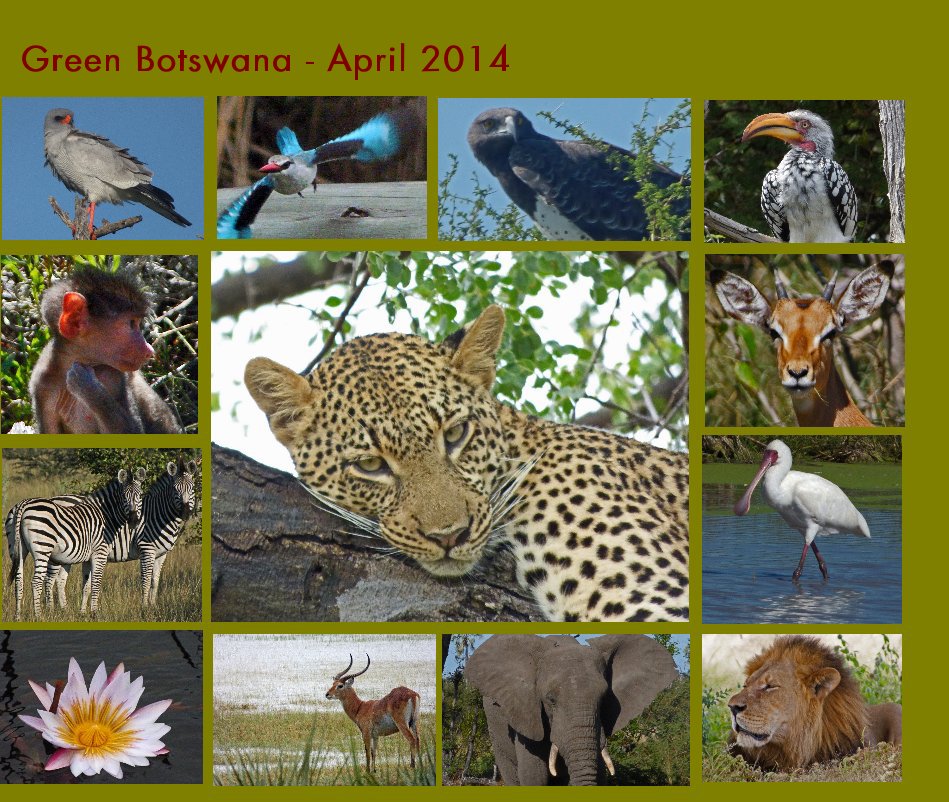 Bekijk Green Botswana - April 2014 op Ursula Jacob
