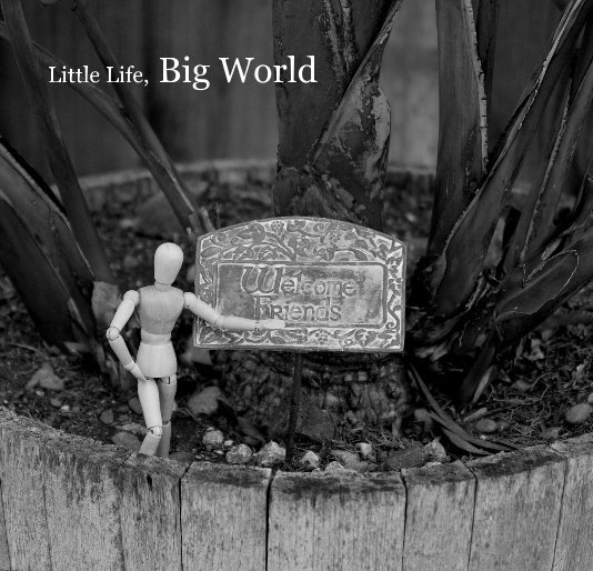 View Little Life, Big World by Trevor Florez