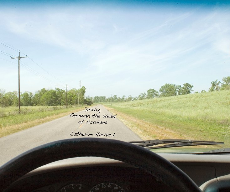 View Driving Through the Heart of Acadiana by Catherine Richard