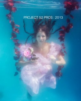 Project 52: 2013 Alumni Book book cover