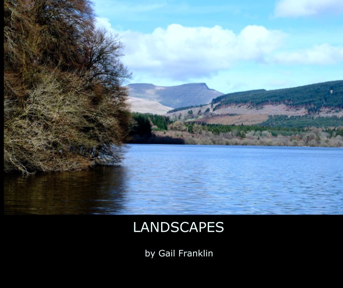 View LANDSCAPES by Gail Franklin