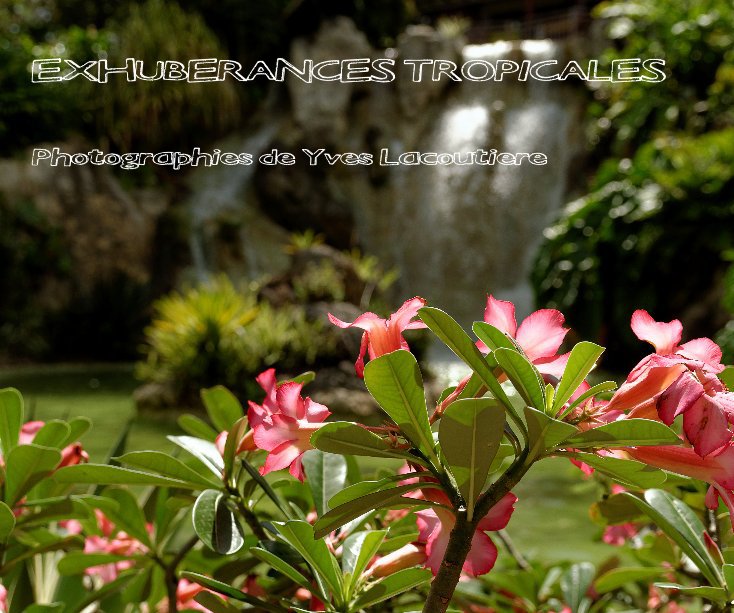 View EXUBERANCES TROPICALES by Yves Lacoutiere