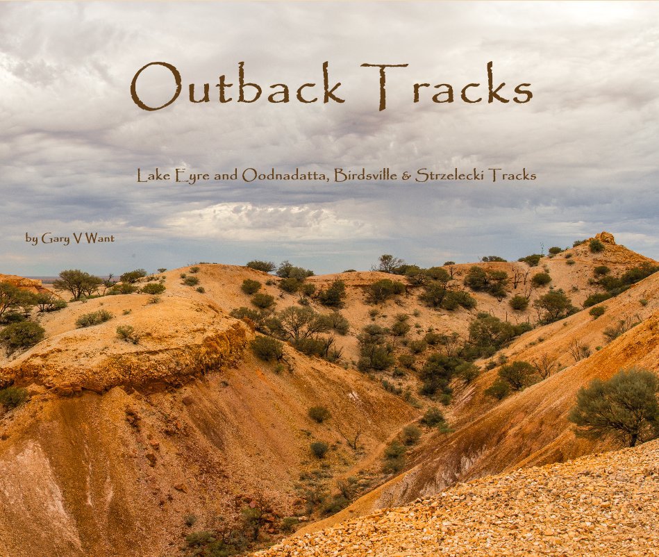 View Outback Tracks by Gary V Want