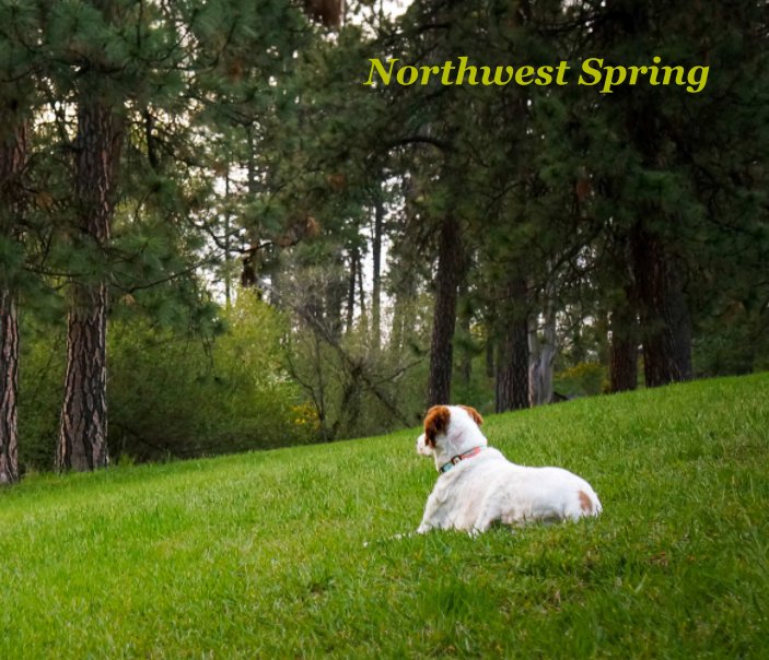 Ver Northwest Spring por Kylene Lloyd