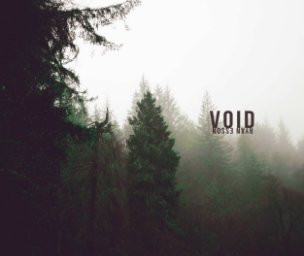 The Void book cover