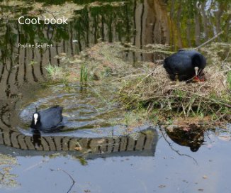 Coot book book cover