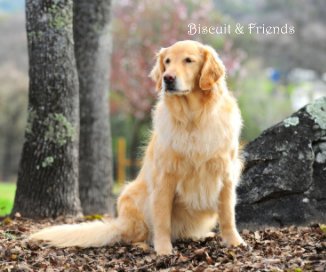 Biscuit & Friends book cover