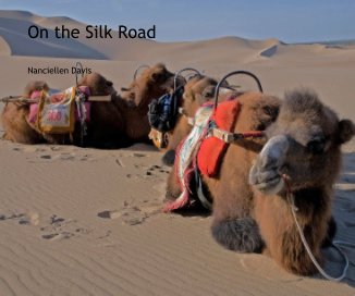 On the Silk Road book cover