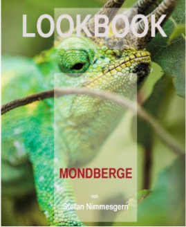 Mondberge book cover