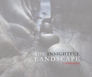 The Insightful Landscape book cover