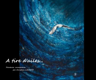 "A tire d'ailes" book cover