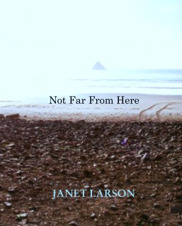 Not Far From Here book cover