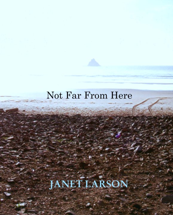 View Not Far From Here by JANET LARSON